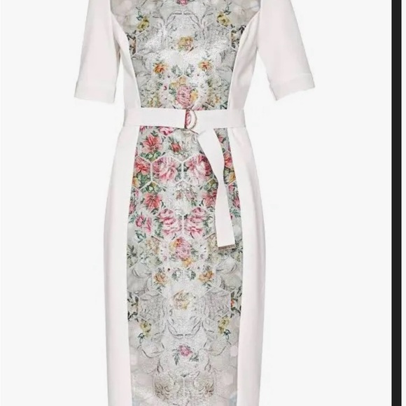 Gorgeous Ted Baker dress - Picture 3 of 8